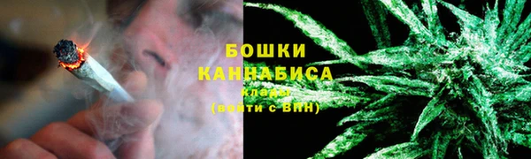 ГАЛЛЮЦИНОГЕННЫЕ ГРИБЫ Вяземский