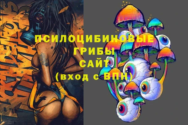 СК Вязьма